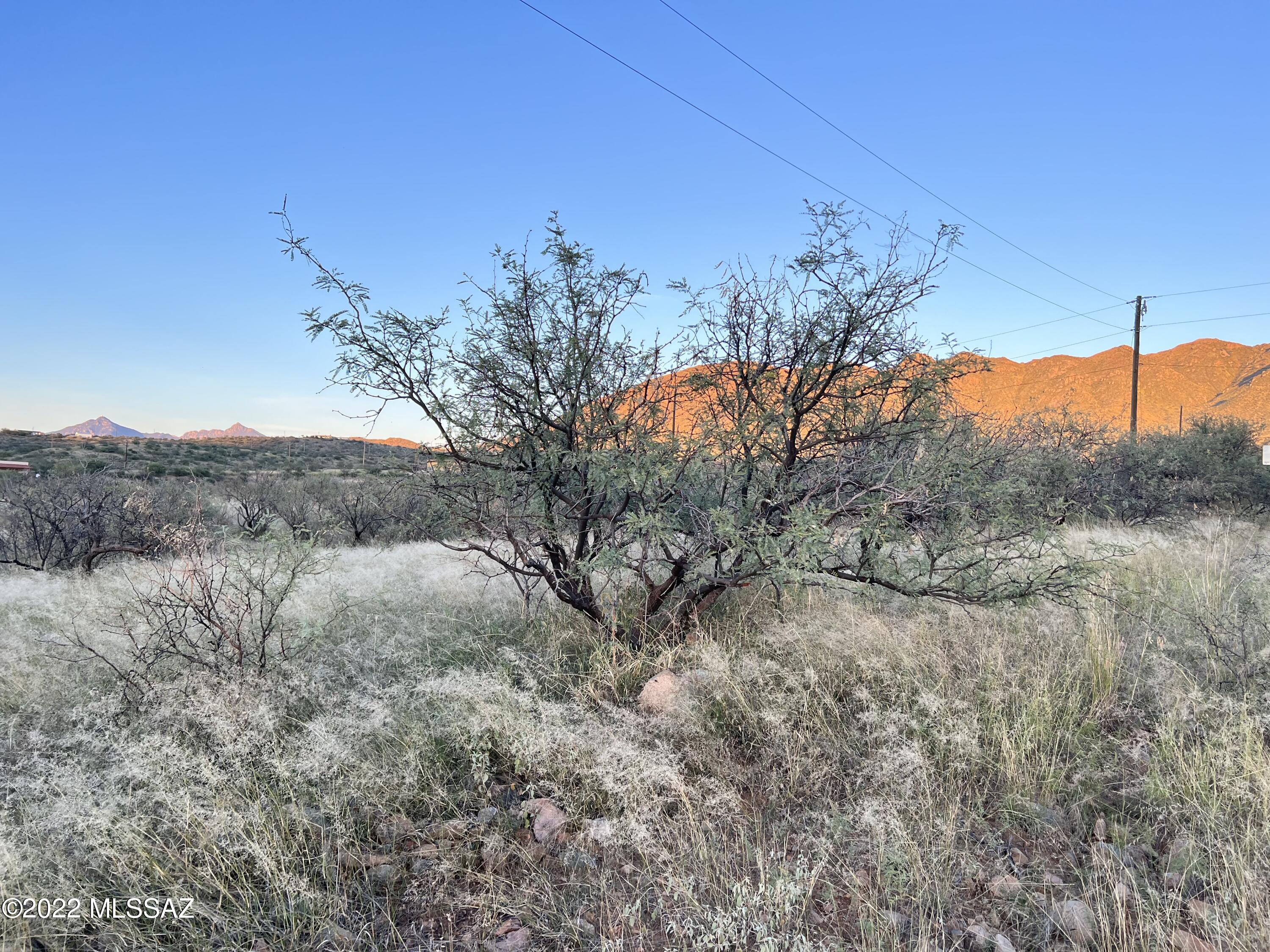 232 Almeja Court, Unit 132 Rio Rico, AZ 85648 - Photo 3 of 7