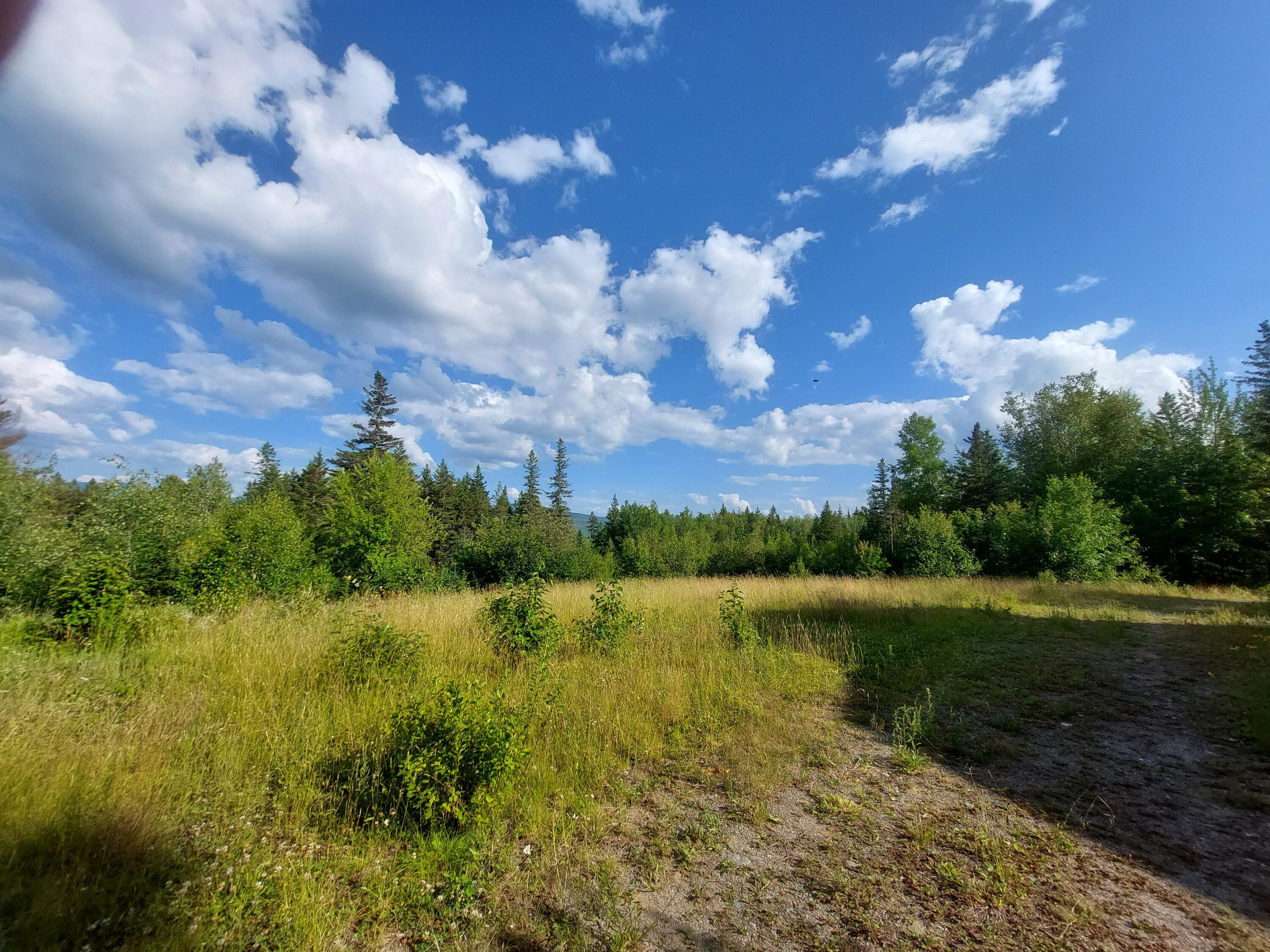 731 Kennebago Road Rangeley, ME 04970 - Photo 2 of 30 view of front yard