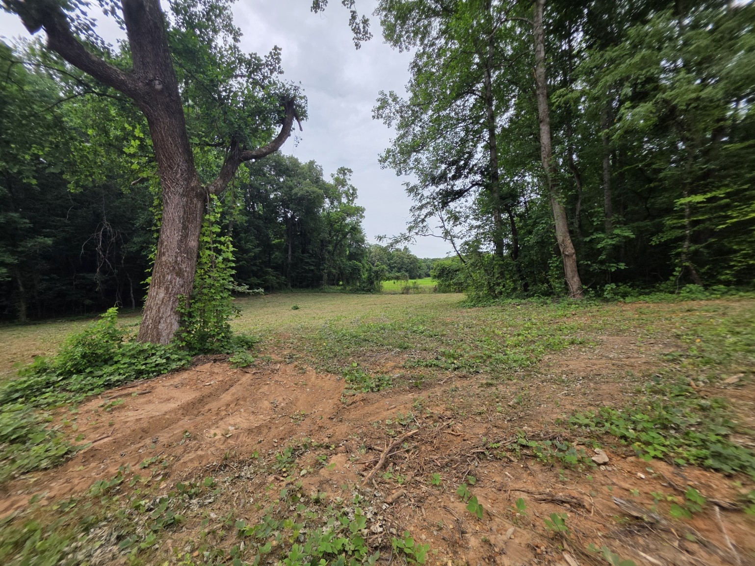 12 Shellsford Road McMinnville, TN 37110 - Photo 5 of 10