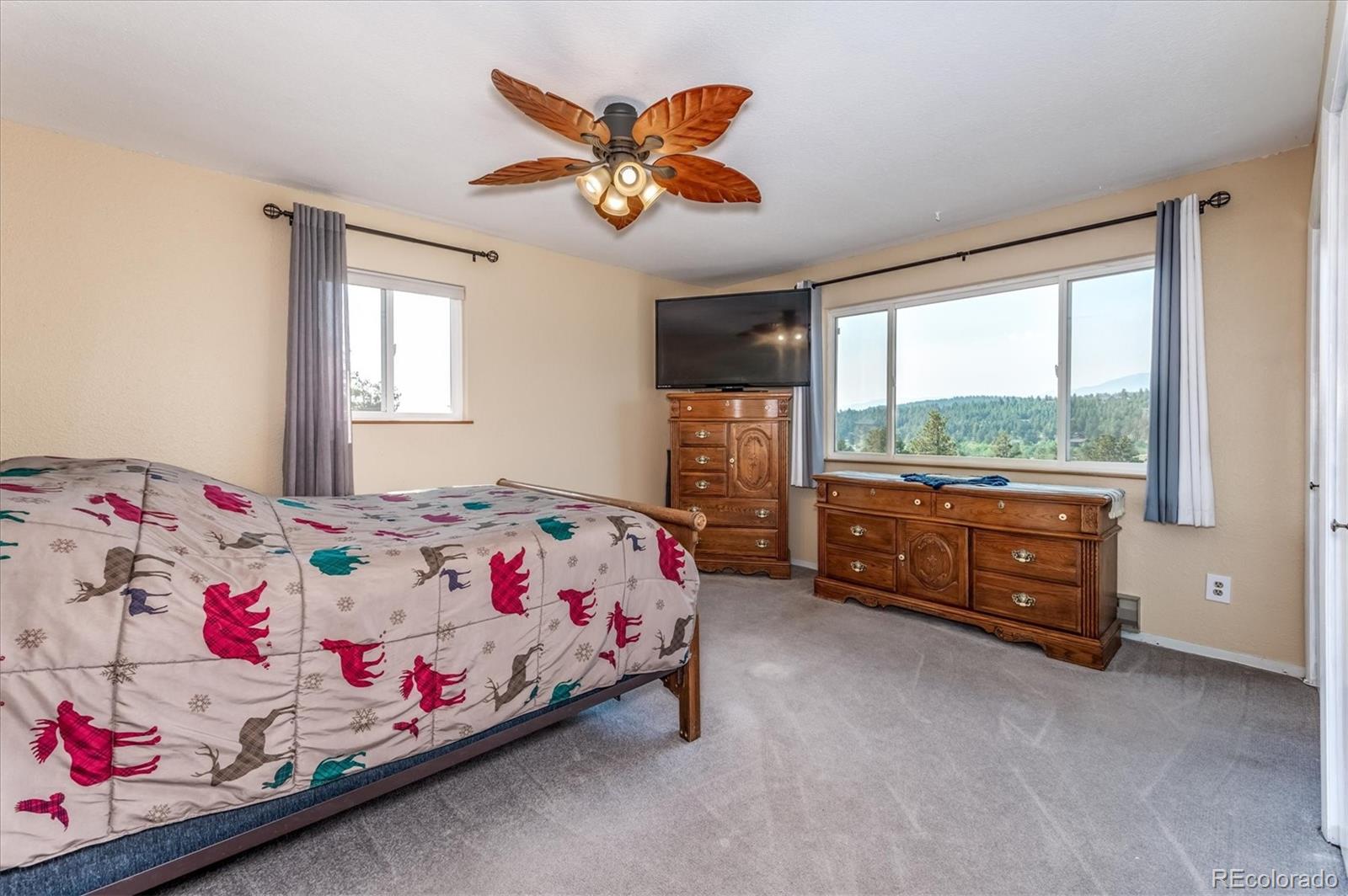 297 Homestead Road Bailey, CO 80421 - Photo 18 of 34 Gallery Image 18