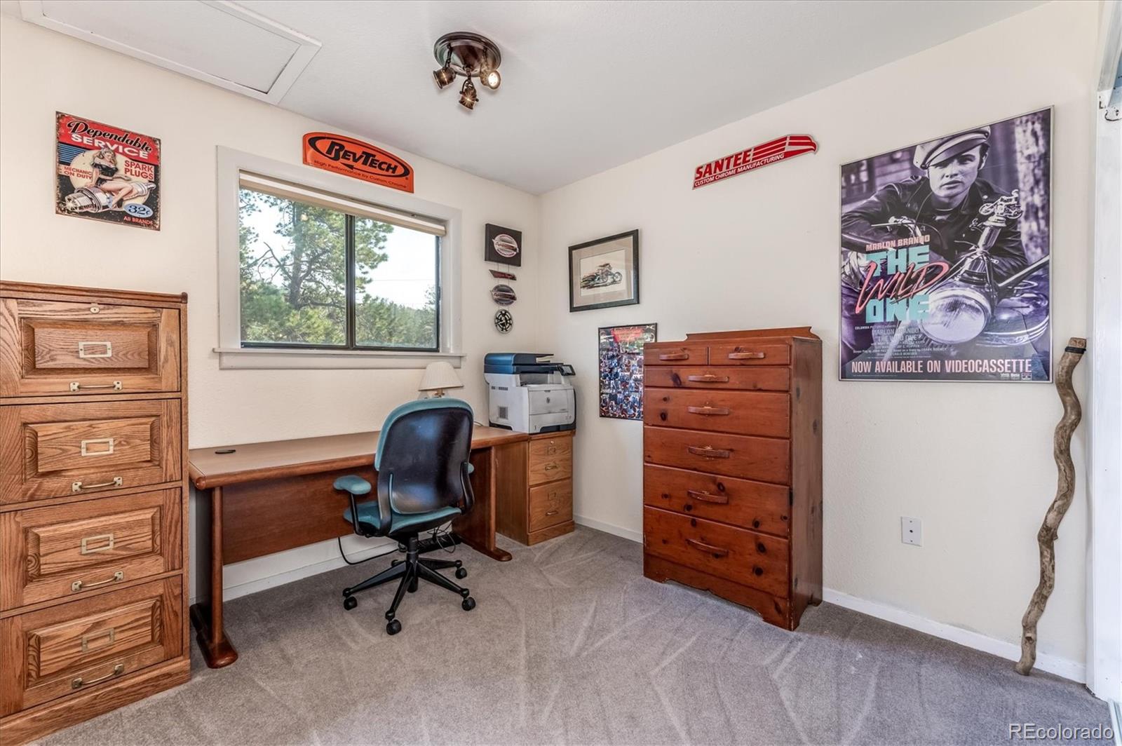 297 Homestead Road Bailey, CO 80421 - Photo 20 of 34 Gallery Image 20
