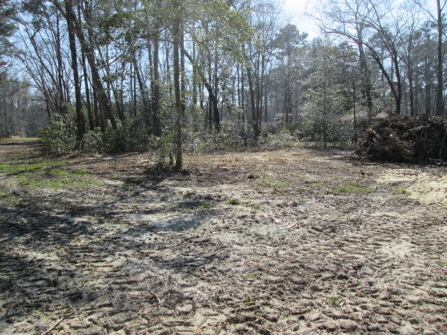 5855 County Line Road Ravenel, SC 29470 - Photo 14 of 14 IMG_7154