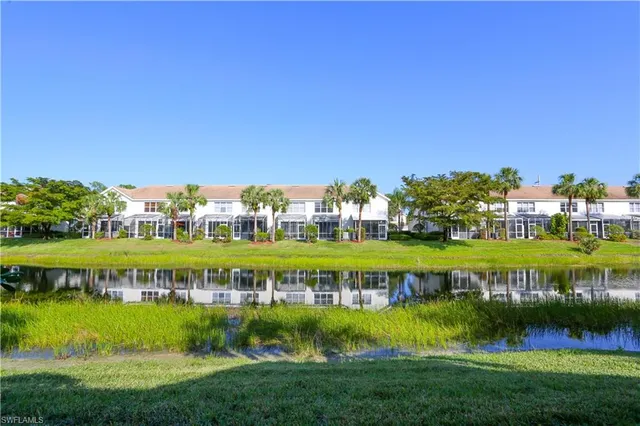 a view of a big yard with plants and large trees