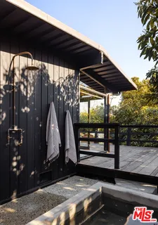a view of a garden with plants and large trees