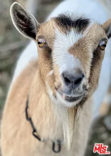 a view of building with wooden floor
