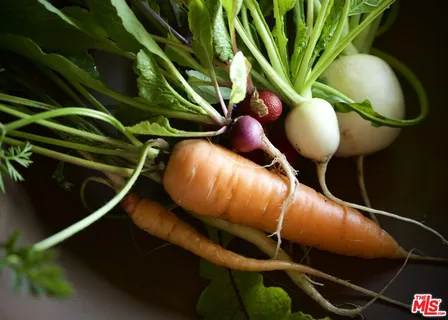 a view of a workspace with furniture and a large window