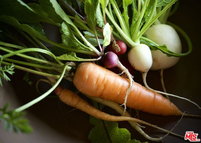 a view of a workspace with furniture and a large window