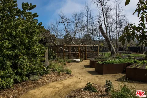 a view of a yard with plants and large trees