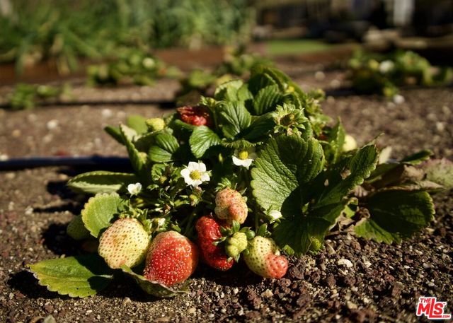 a view of swimming pool from a lake