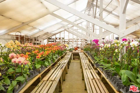 a black and white photo of a lake