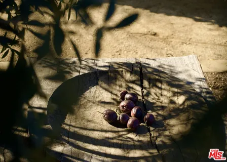 a black and white photo of a park