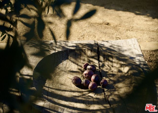a black and white photo of a park
