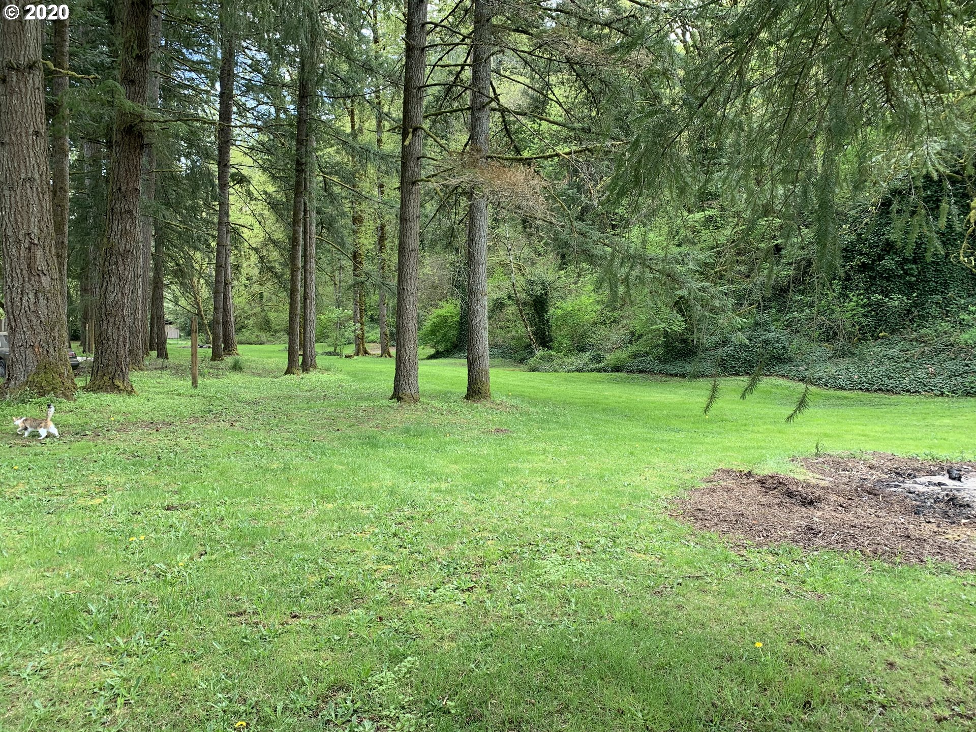 22711 South Cadonau Road Estacada, OR 97023 - Photo 22 of 32