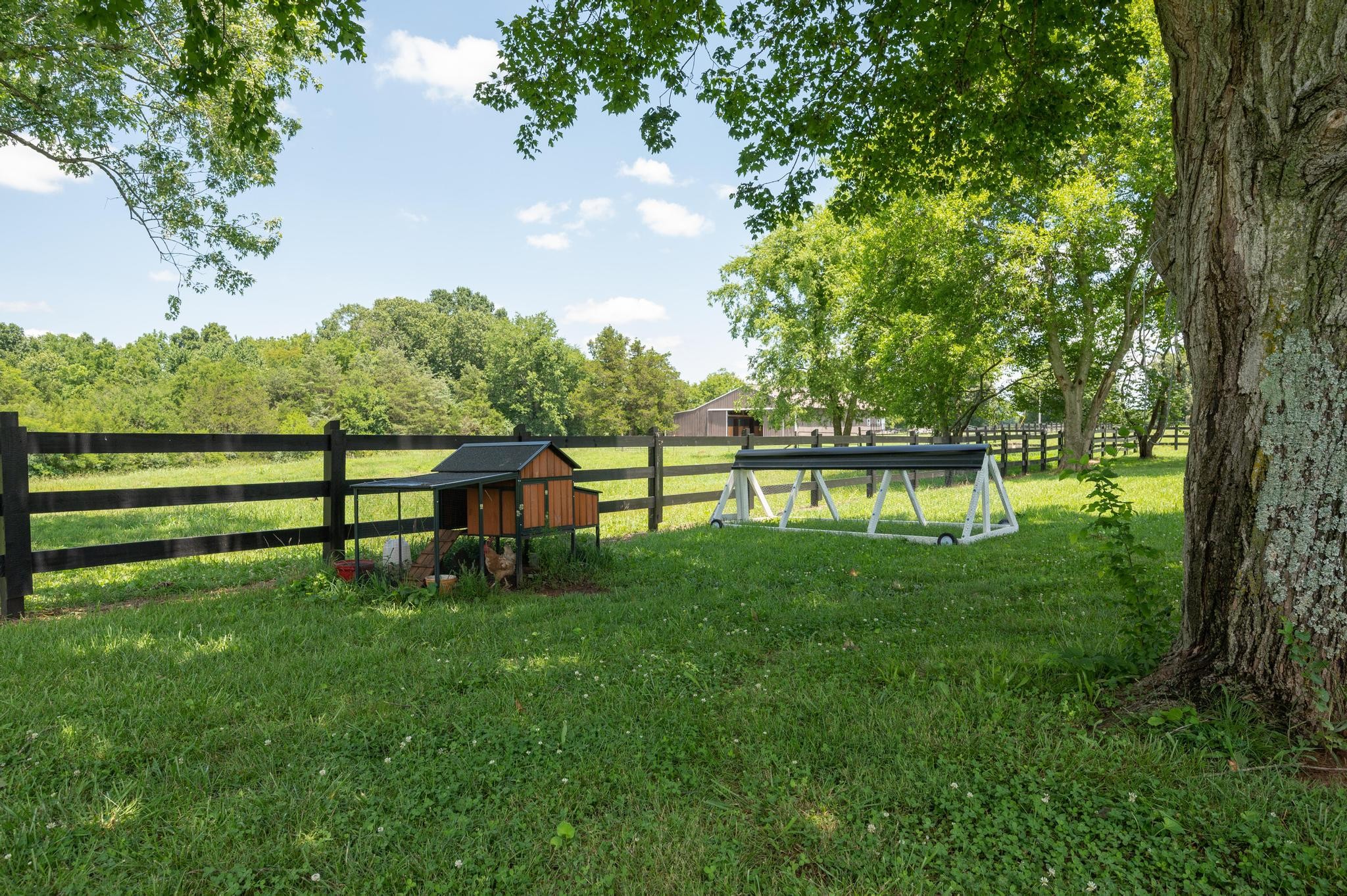 363 Cartwright Road Shelbyville, TN 37160 - Photo 47 of 54 Gallery Image 47