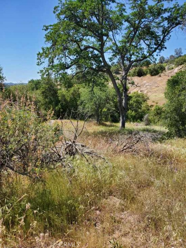1952 Ranger Circle Drive Coarsegold, CA 93614 - Photo 12 of 17