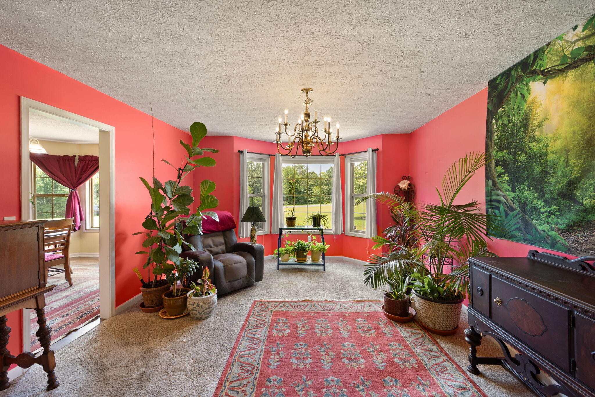 11 Cole Road Jamestown, KY 42629 - Photo 41 of 85 41-web-or-mls-NJ9A6612