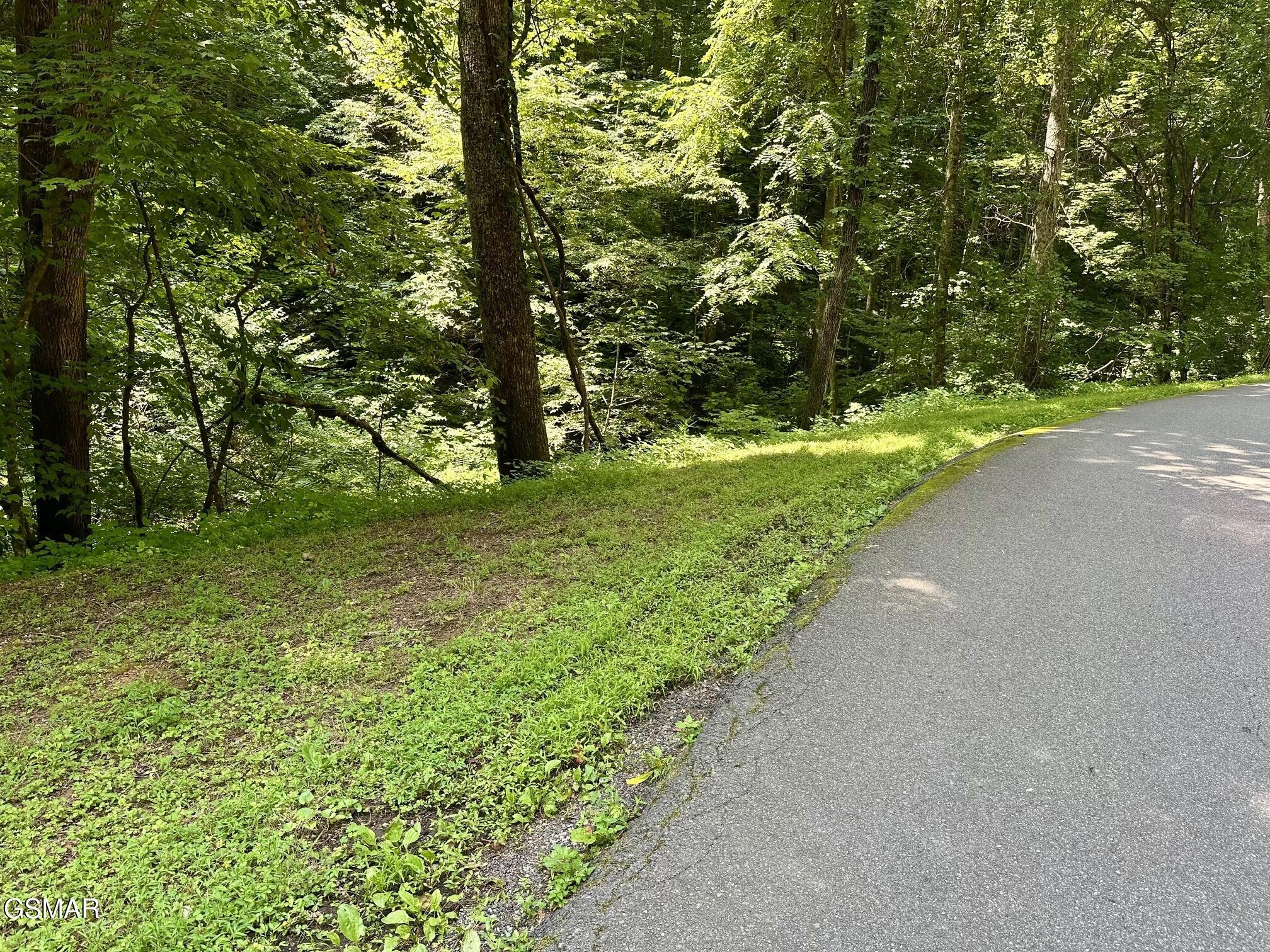 706 School House Gap Road Sevierville, TN 37876 - Photo 2 of 5