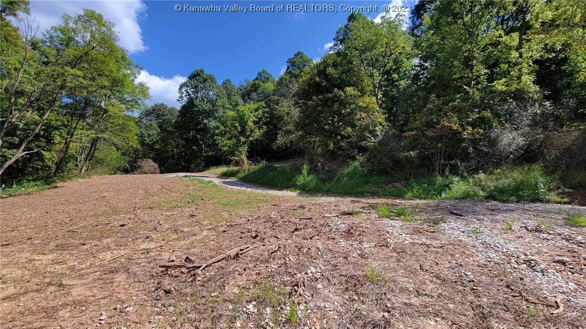 679 Burnems Run Road Sandyville, WV 25275 - Photo 1 of 7 Gallery Image 1