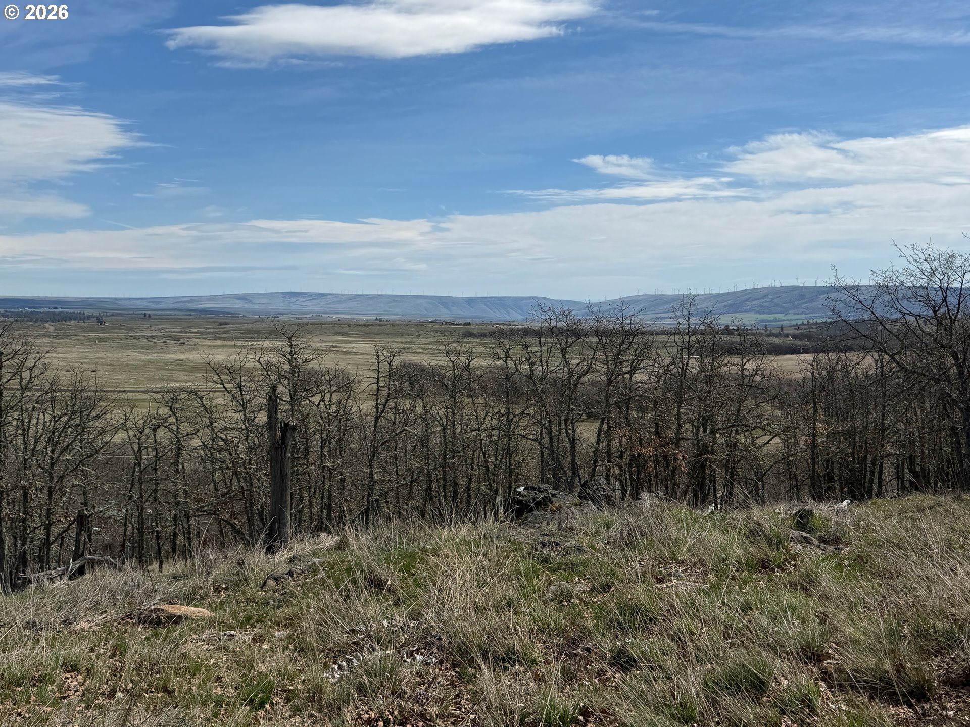 3 Trevor Road Goldendale, WA 98620 - Photo 9 of 29 Gallery Image 9