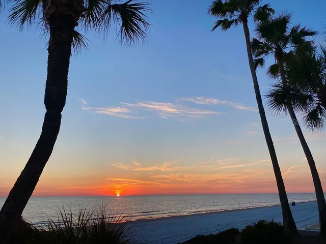 a view of a patio with table and chairs potted plants and palm trees