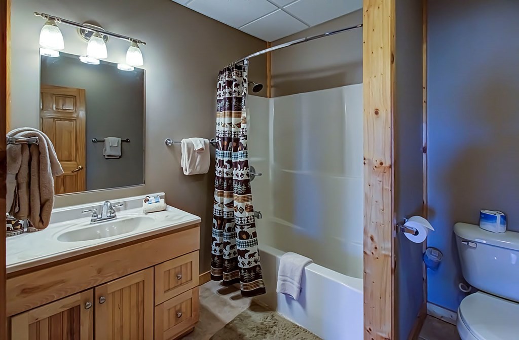 696 Balls Hollow Road East, Unit 698EBALLSHOLLOWRD Cosby, TN 37722 - Photo 38 of 49 Gallery Image 38