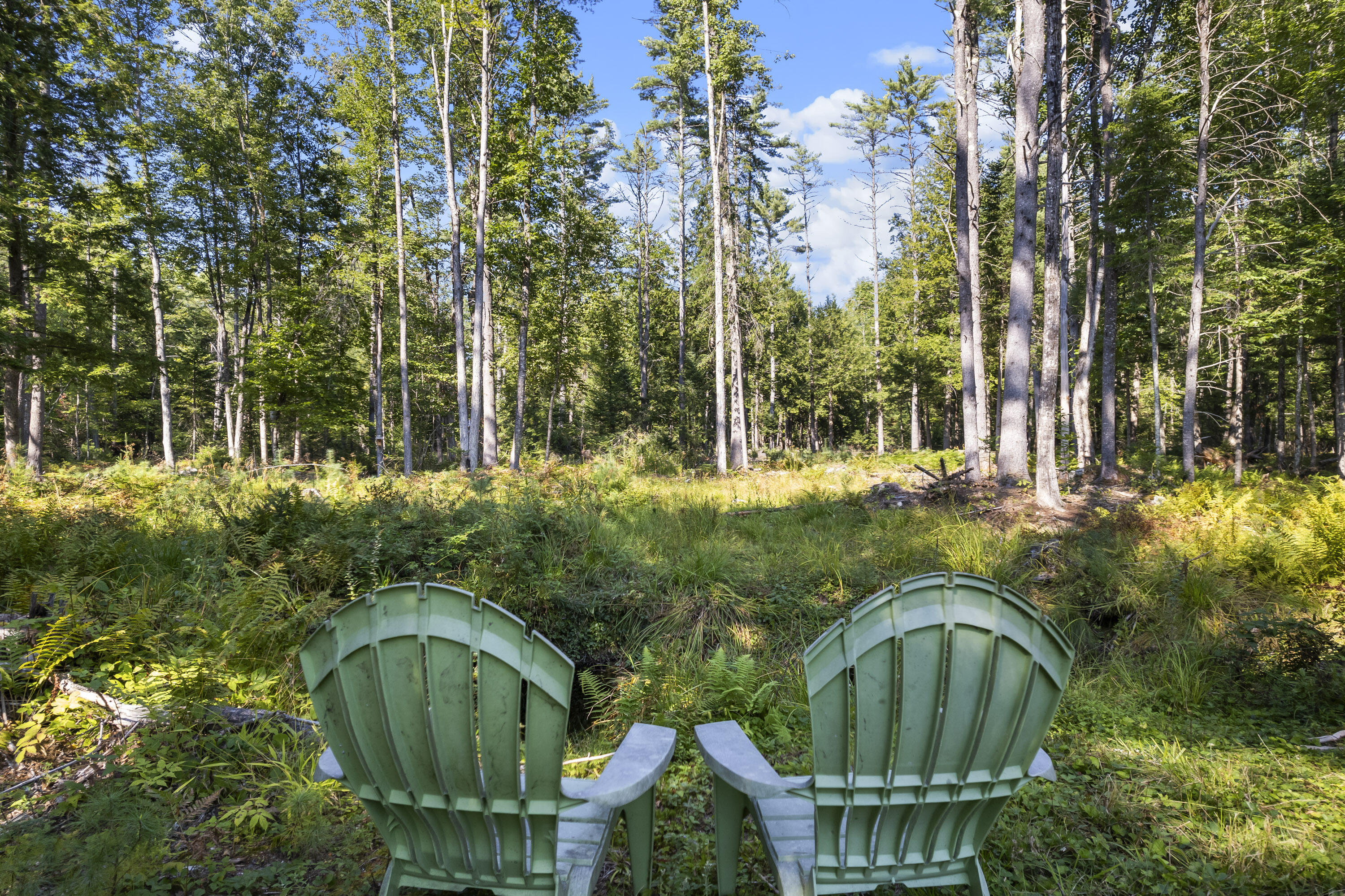 1020 Naples Road Harrison, ME 04040 - Photo 18 of 69 adirondack By The Thomes Brook