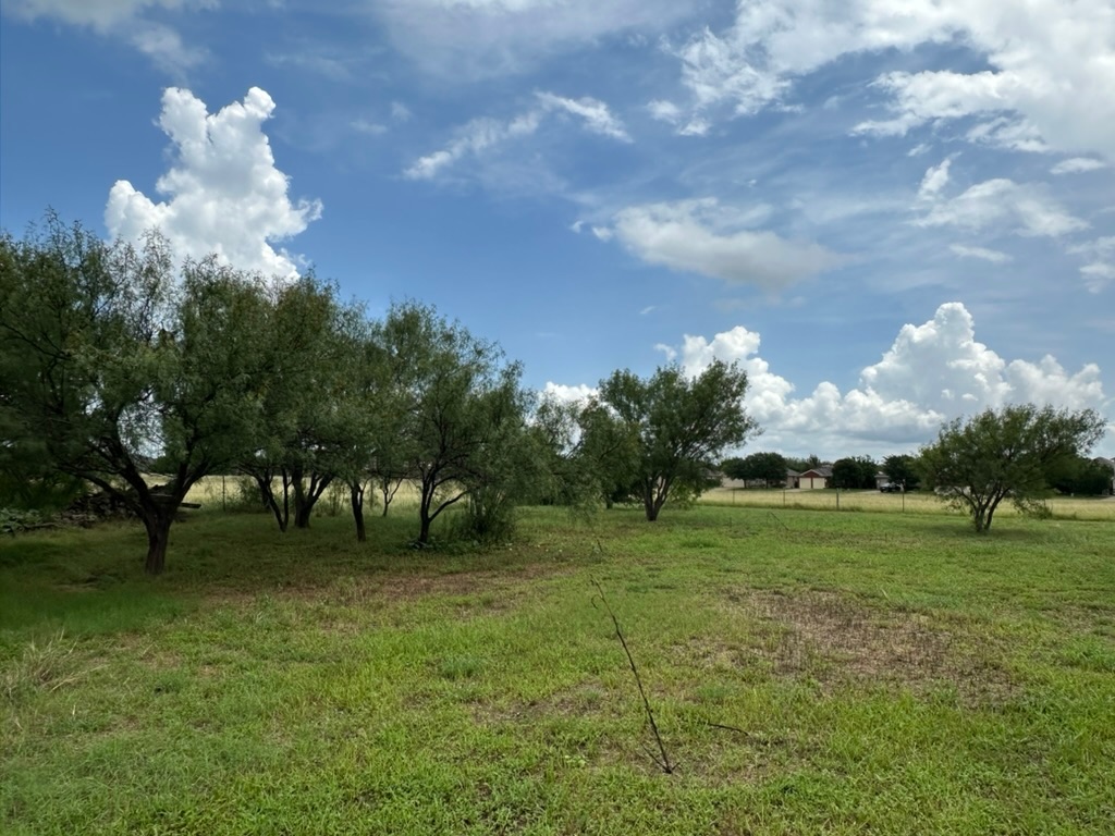 600 South Bagdad Road Leander, TX 78641 - Photo 22 of 36 .996 acre lot