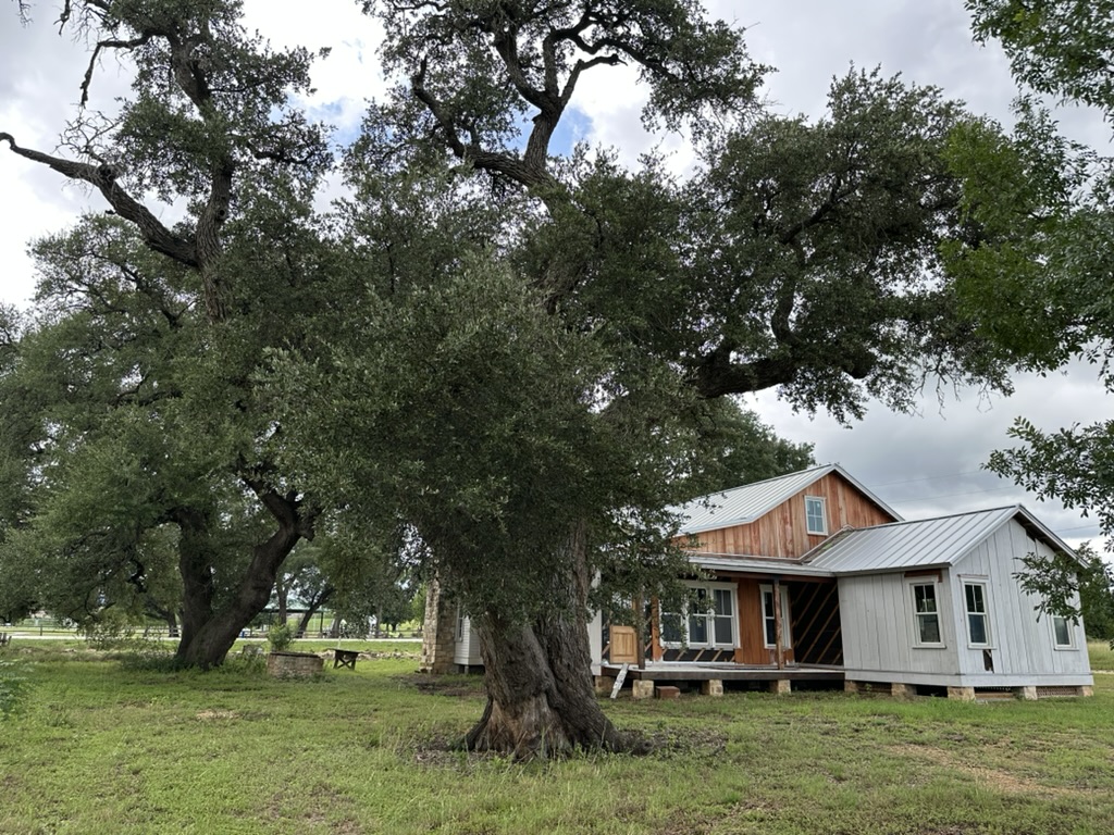 600 South Bagdad Road Leander, TX 78641 - Photo 27 of 36 Rear view of house - heritage Live Oak