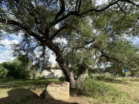 600 South Bagdad Road Leander, TX 78641 - Photo 28 of 36 well - also has city water ready to hook up
