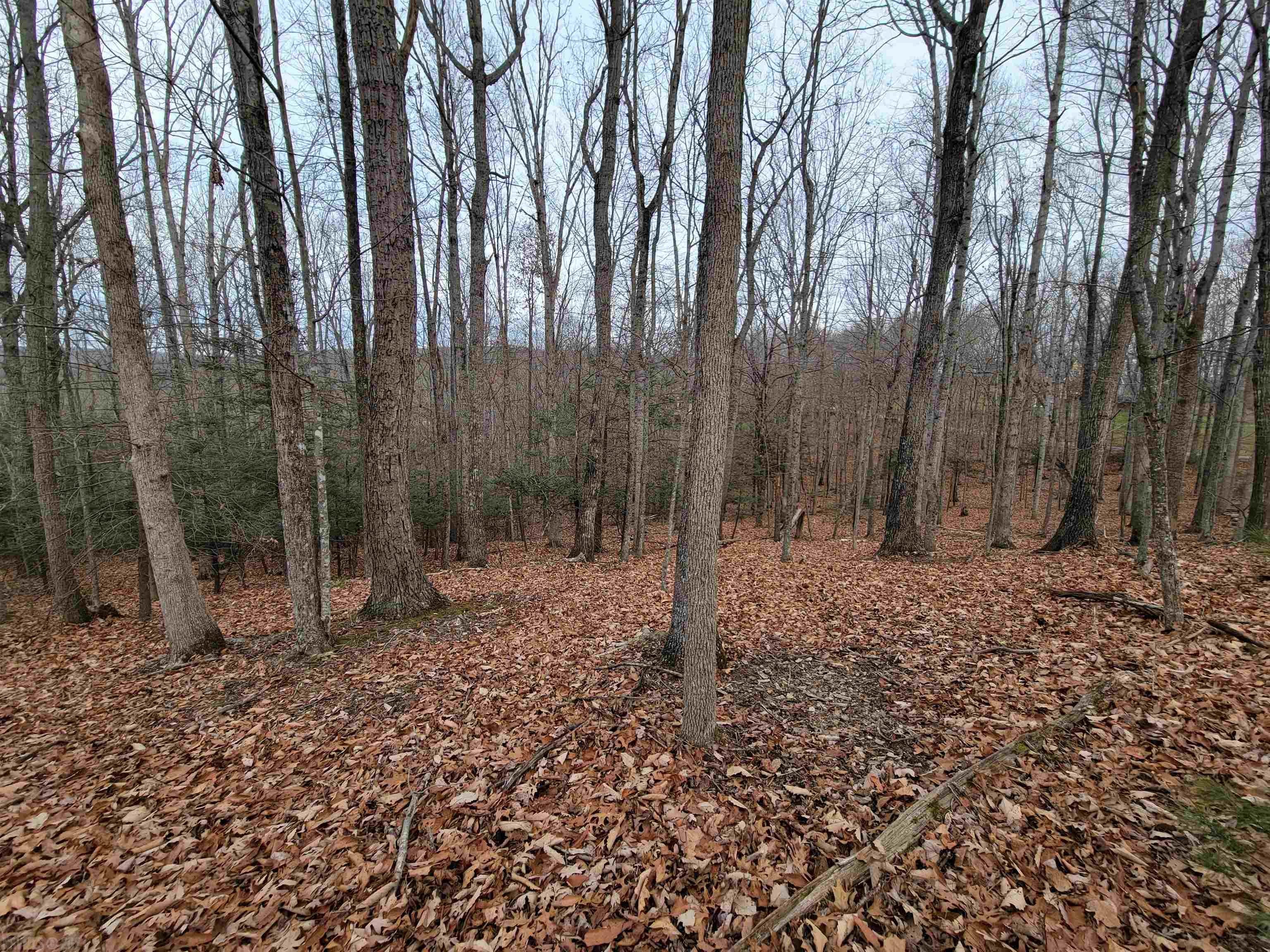 1051 Treetop Ridge Road Blacksburg, VA 24060 - Photo 9 of 10 Gallery Image 9