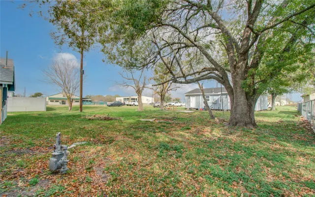 a view of a yard with plants and trees
