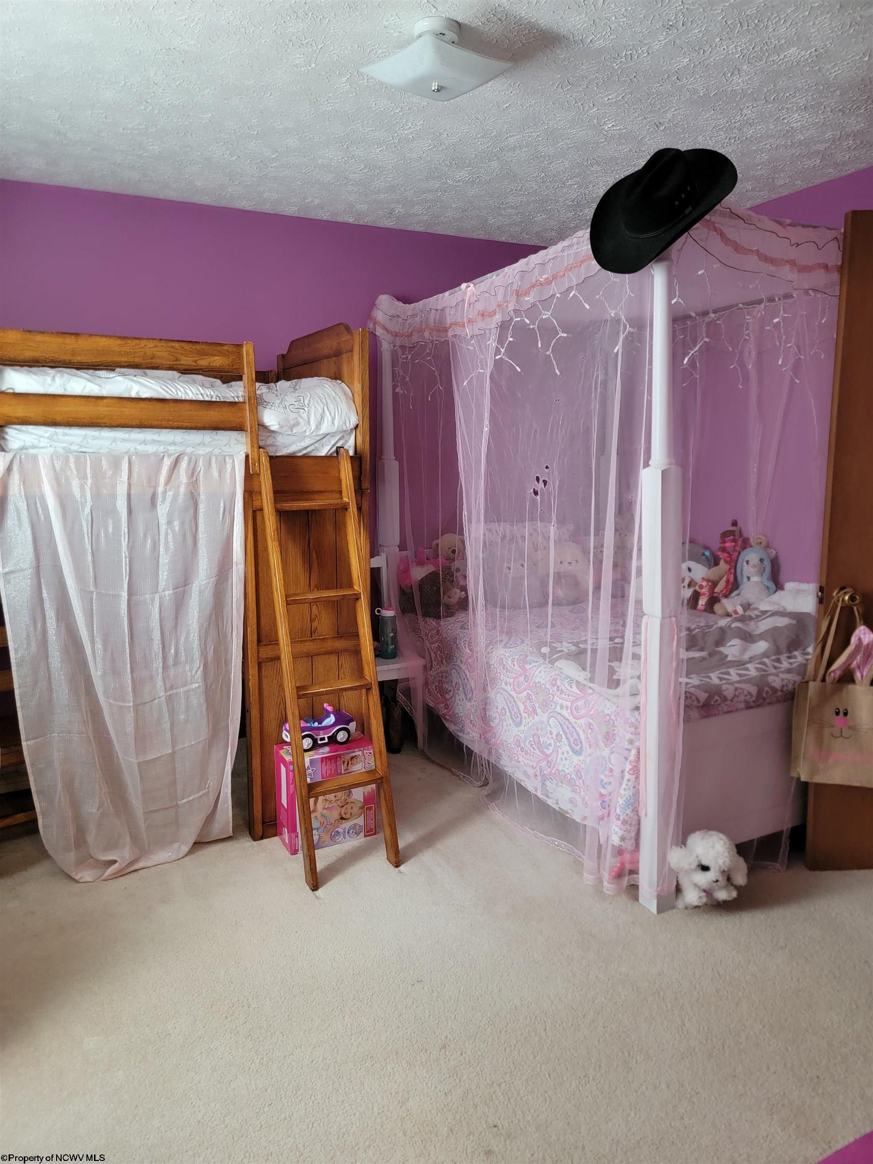 1746 Mabie Road Mabie, WV 26278 - Photo 12 of 25 Gallery Image 12
