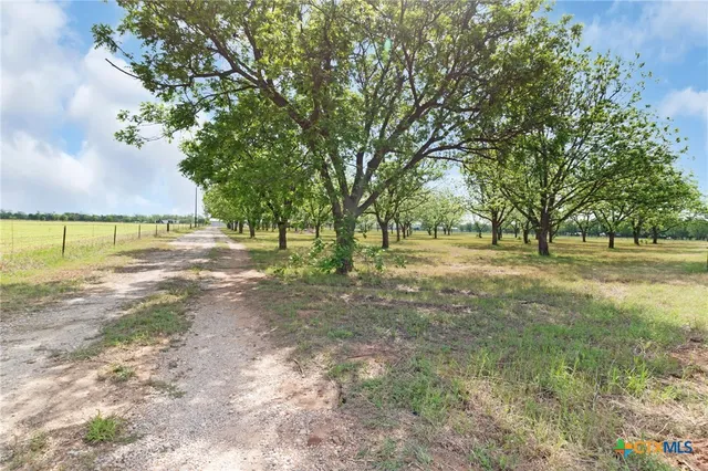 a view of yard with trees