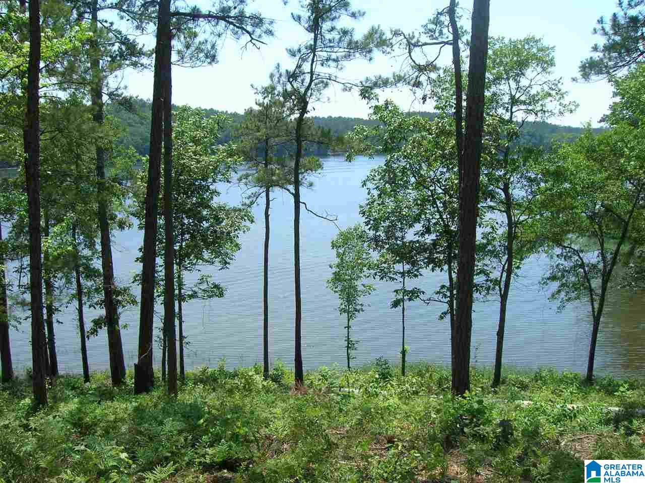 Stillwaters Trail Sylacauga, AL 35151 - Photo 9 of 30