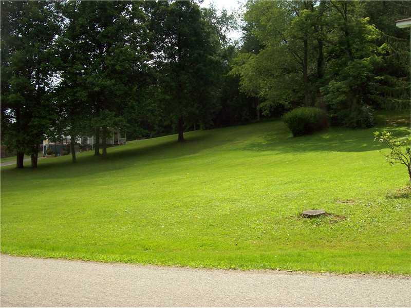 356 Breakiron Road Connellsville, PA 15425 - Photo 11 of 15 Yard/Garden.