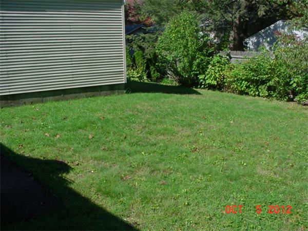 28 Whittaker Street Springfield, MA 01104 - Photo 3 of 6 a view of a backyard with plants and large trees