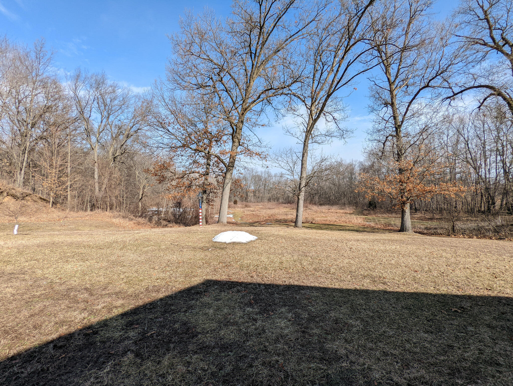 8050 Pomeroy Road Parma, MI 49269 - Photo 4 of 38 14