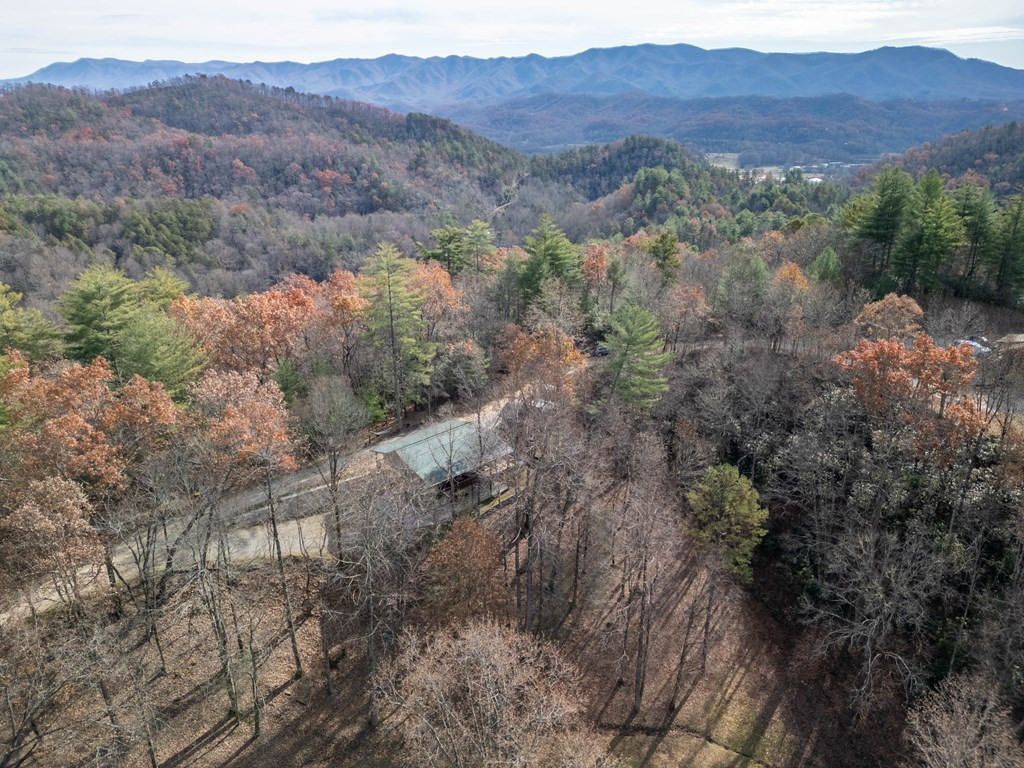 212 Pendergrass Road Marble, NC 28905 - Photo 34 of 38