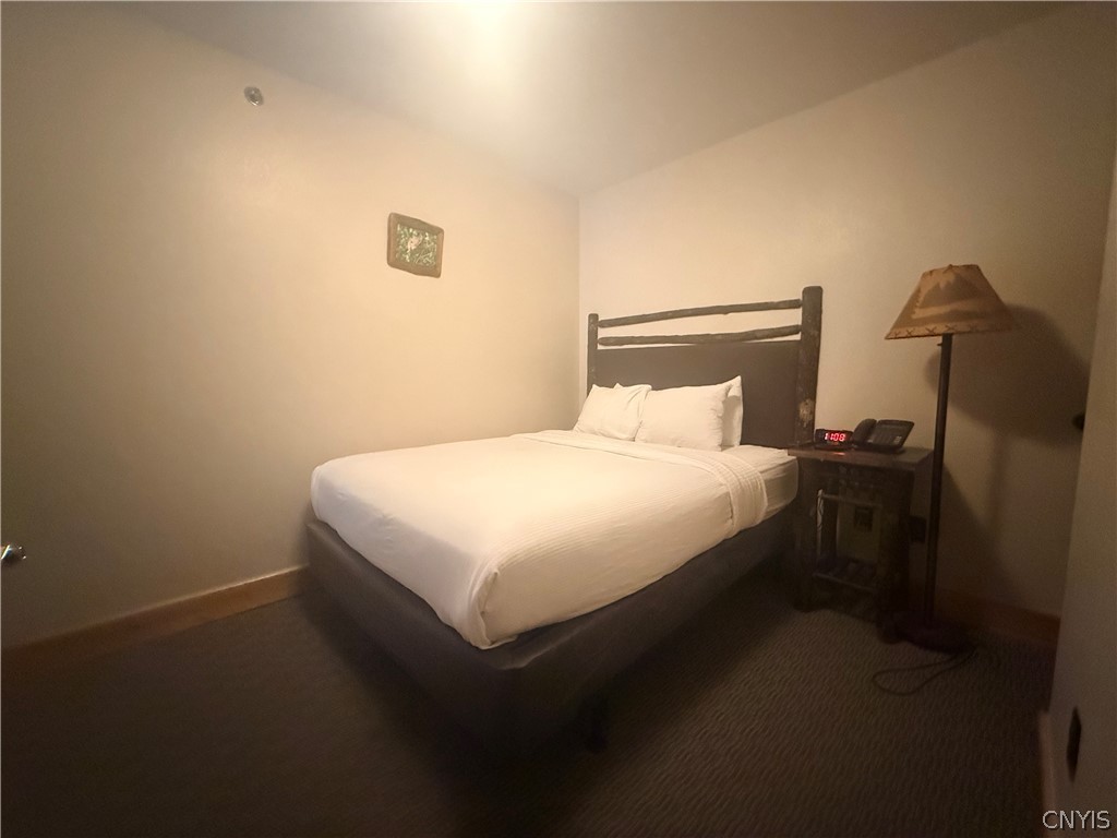 2177 Clute Road, Unit 510 Virgil, NY 13045 - Photo 12 of 15