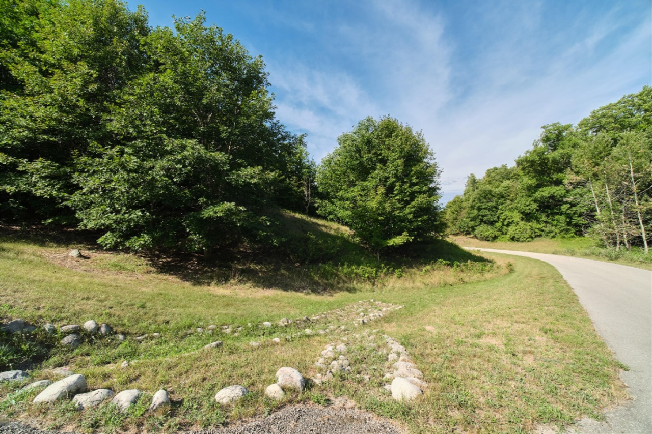 Arcadia Ridge Drive Onekama, MI 49675 - Photo 13 of 52