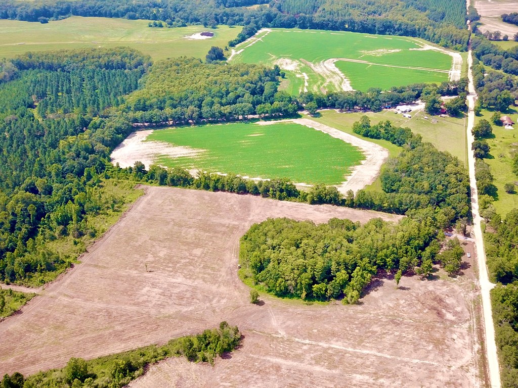 L1 New Hinson Road Slocomb, AL 36375 - Photo 16 of 30