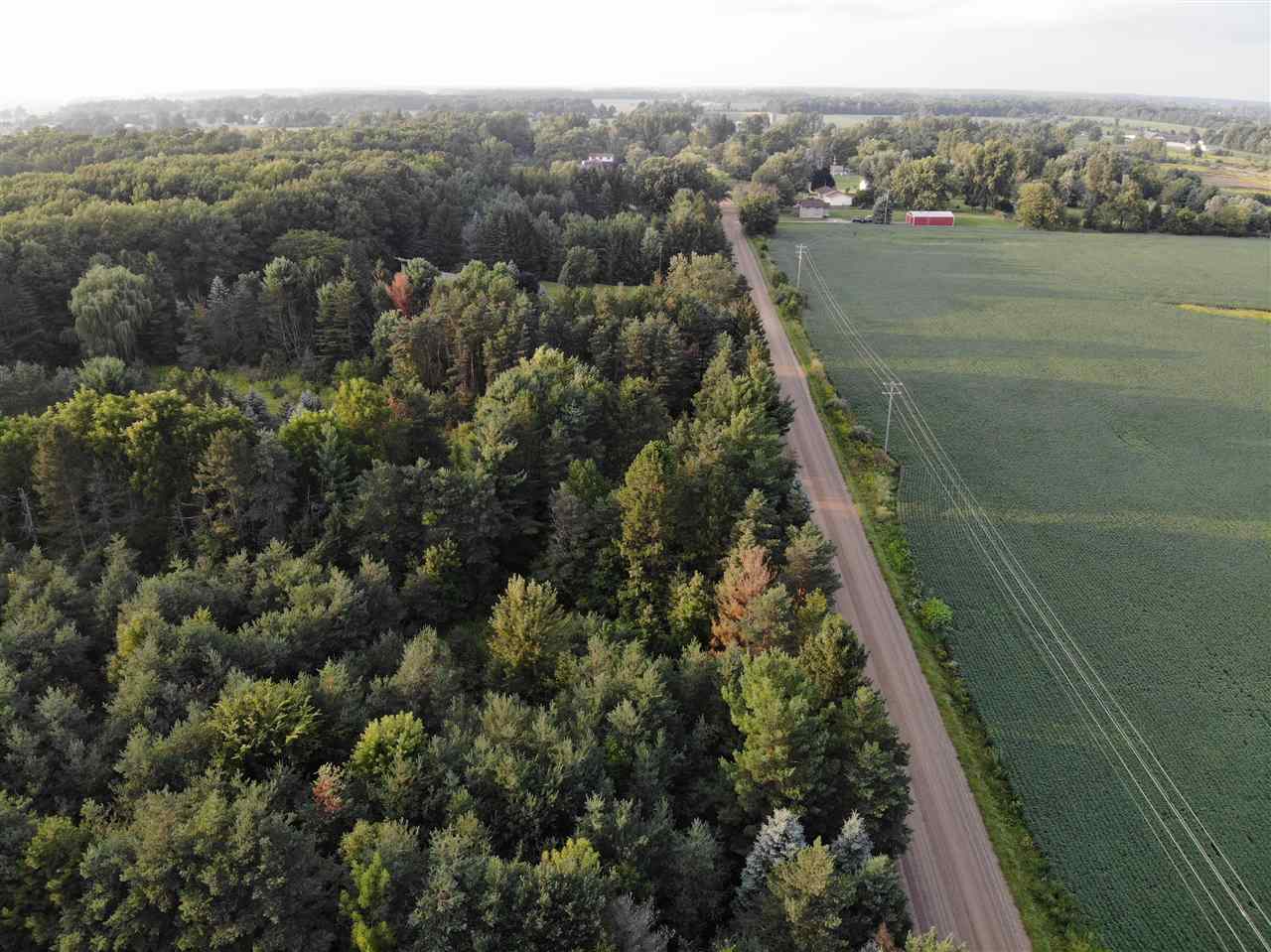 Parcel A North Byron Road Lennon, MI 48449 - Photo 4 of 22