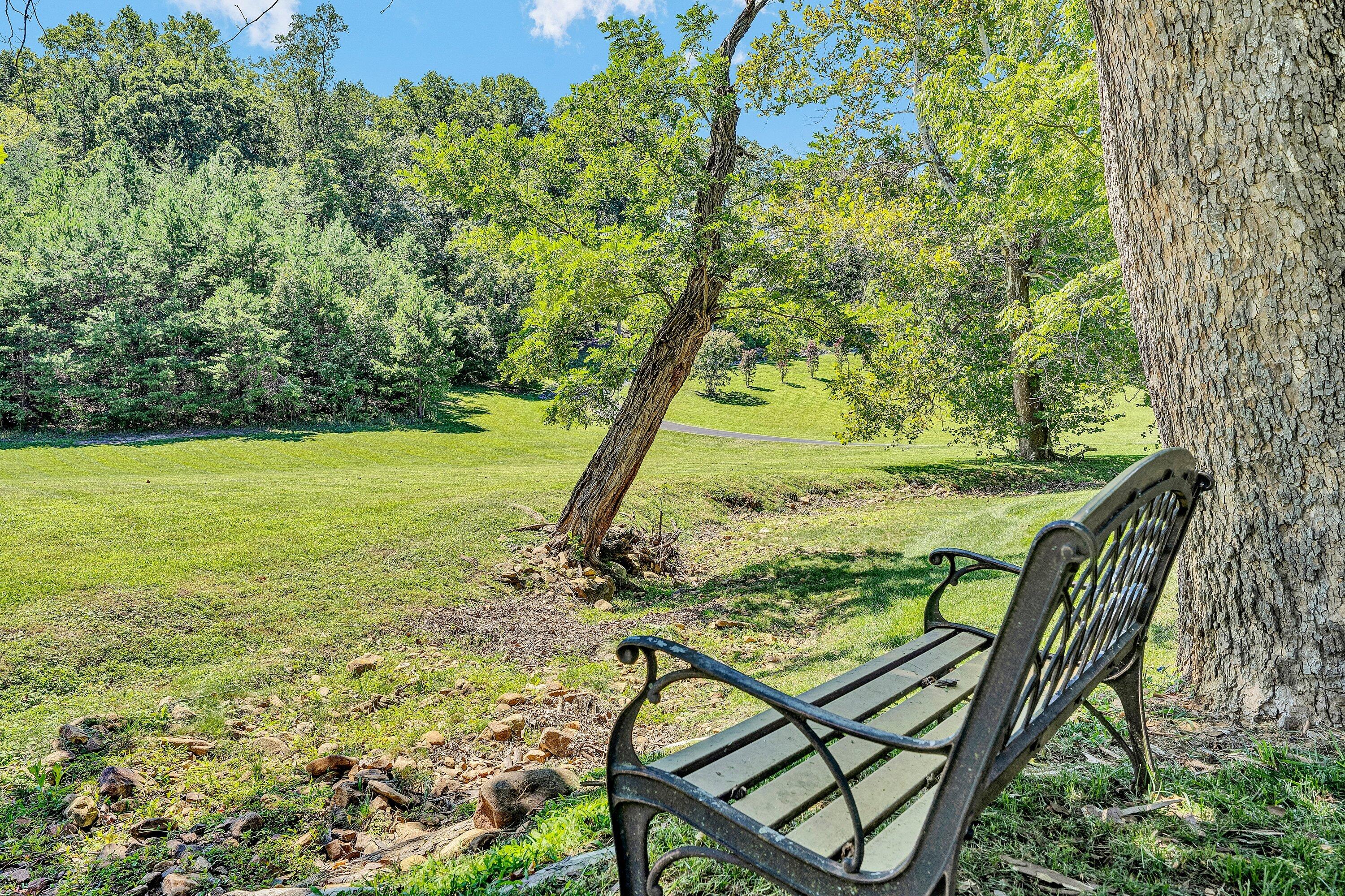 2143 Blue Ridge Springs Road Blue Ridge, VA 24064 - Photo 52 of 65 SGM-09285