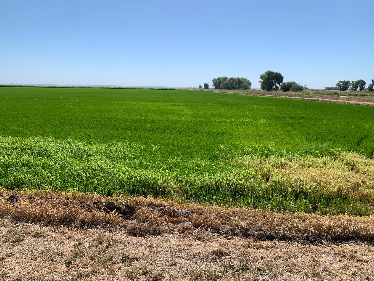 0 10658 Fasig Road Meridian, CA 95957 - Photo 5 of 11