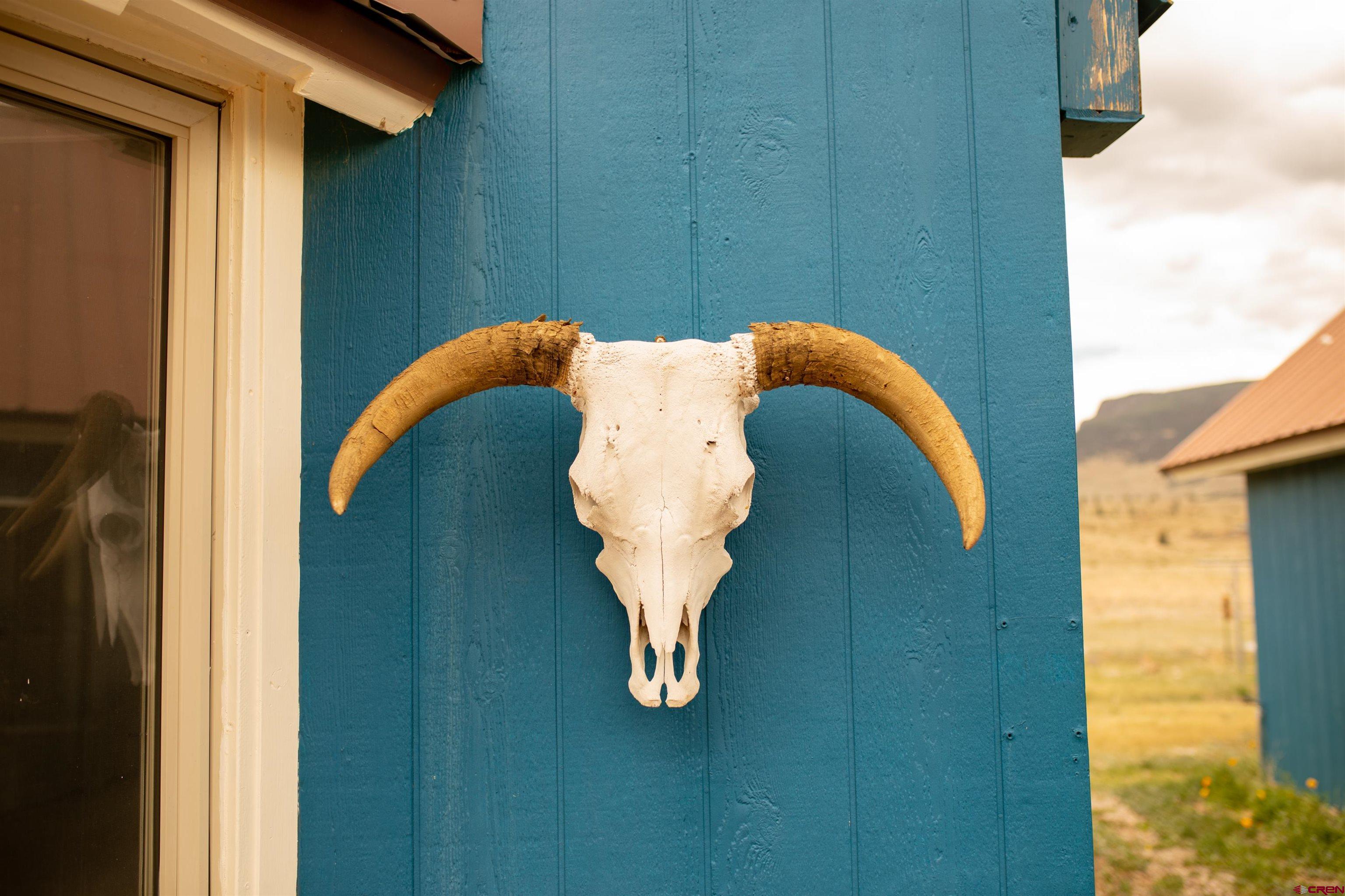 507 Ridge Drive Creede, CO 81130 - Photo 15 of 31 a view of entryway