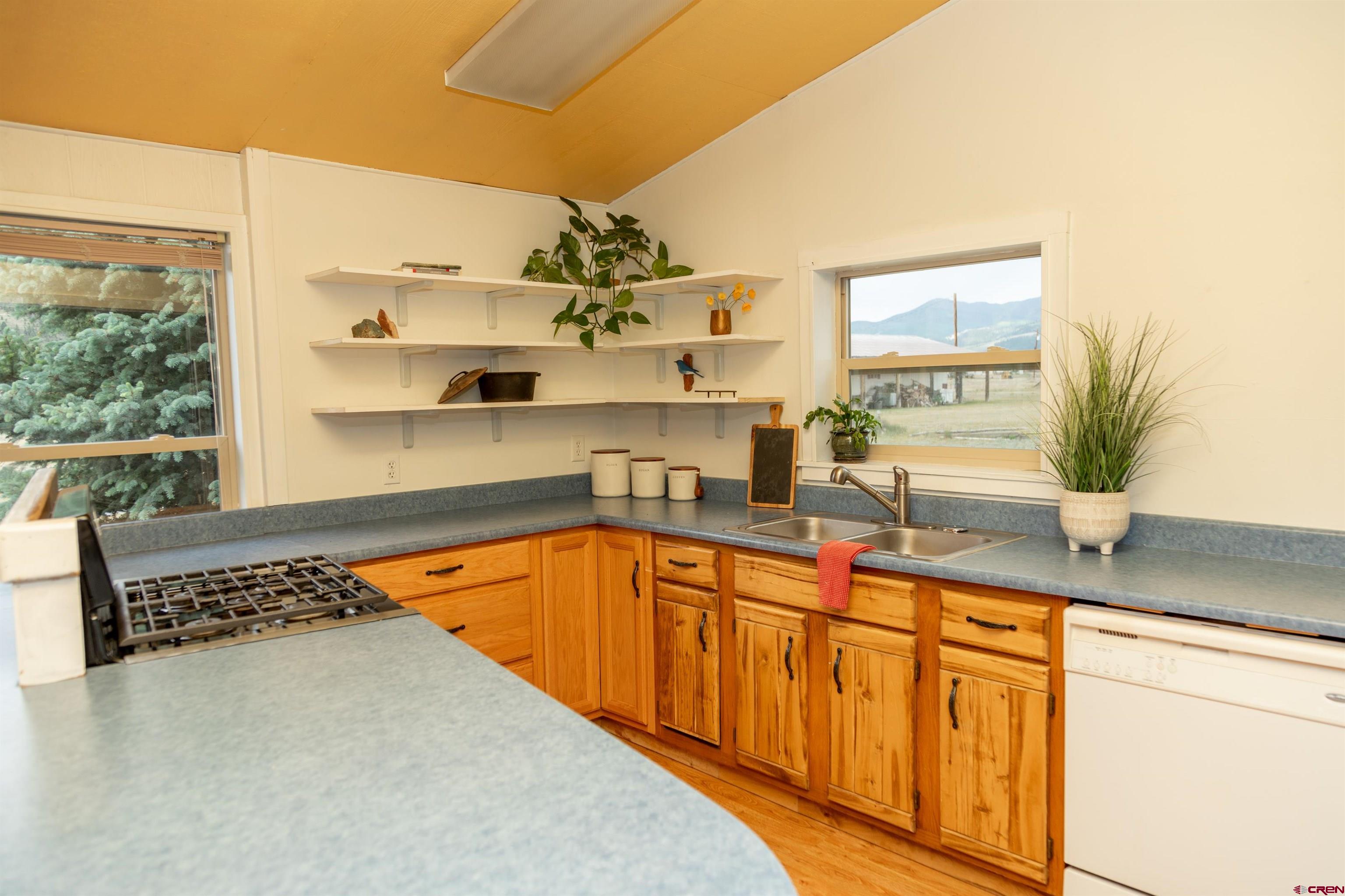 507 Ridge Drive Creede, CO 81130 - Photo 17 of 31 a kitchen with stainless steel appliances granite countertop a sink dishwasher and cabinets with wooden floor