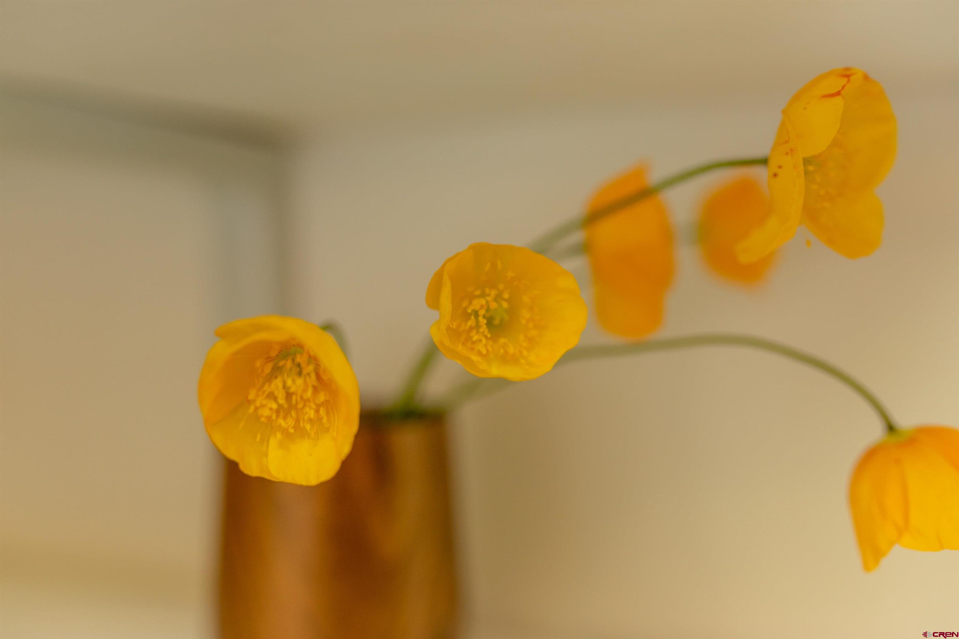 507 Ridge Drive Creede, CO 81130 - Photo 7 of 31 a bathroom with a mirror