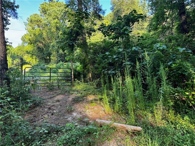 3 Ward Line Road Bogalusa, LA 70427 - Photo 2 of 12
