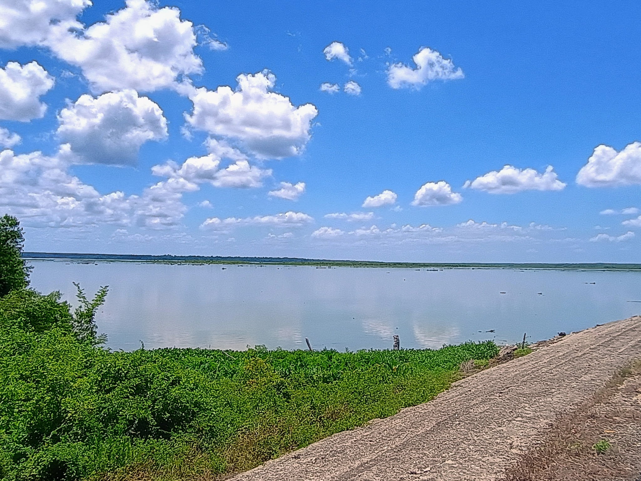 0 Port Boulevard Trinity, TX 75862 - Photo 5 of 10 Bring the family for boating, jet skiing and fishing.