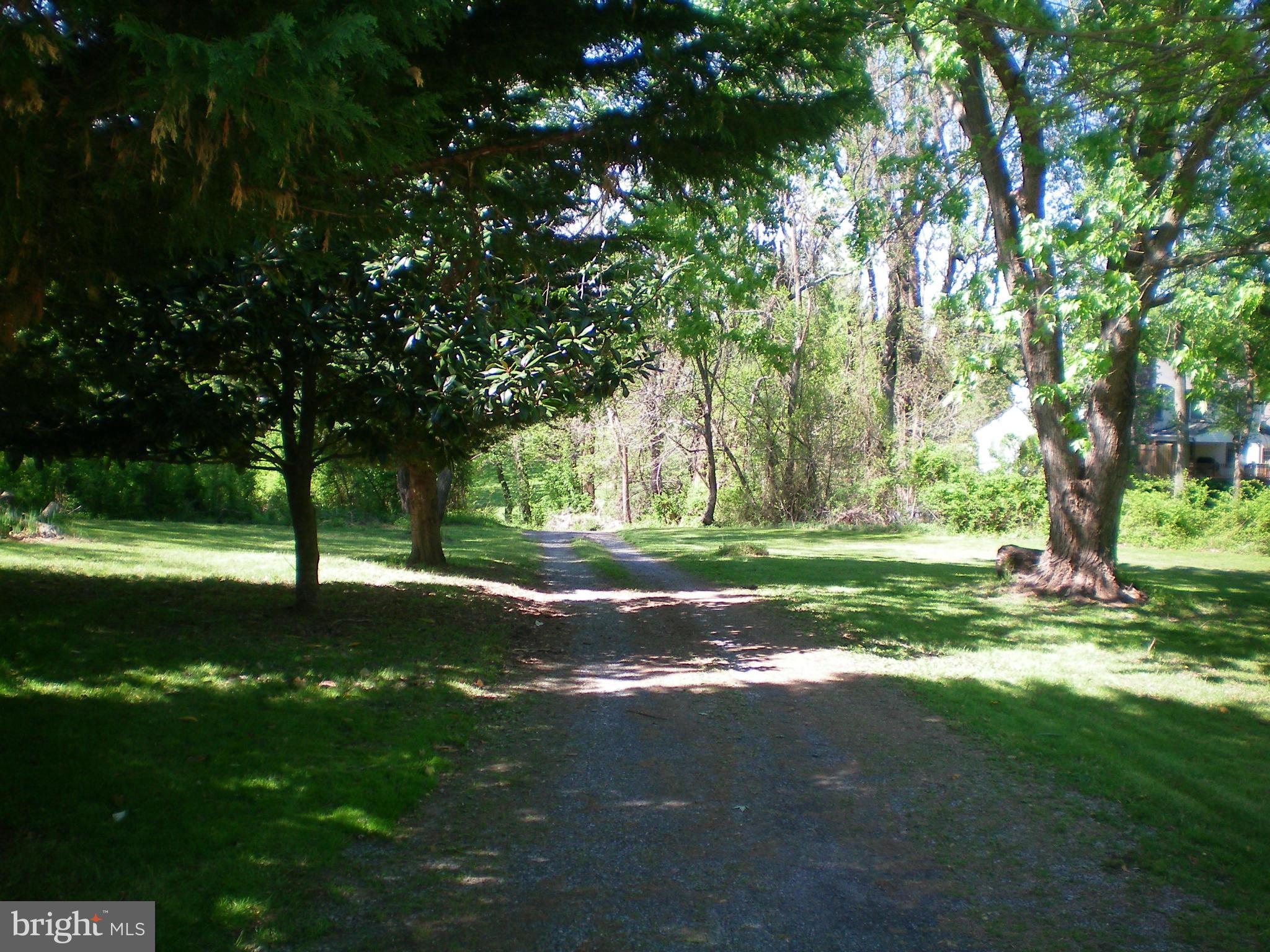 282 Fairhaven Road Tracys Landing, MD 20779 - Photo 20 of 30 a view of a yard with a tree